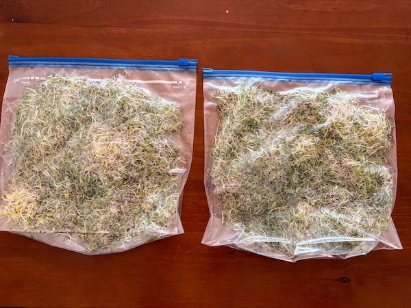 sprouts-bagged
